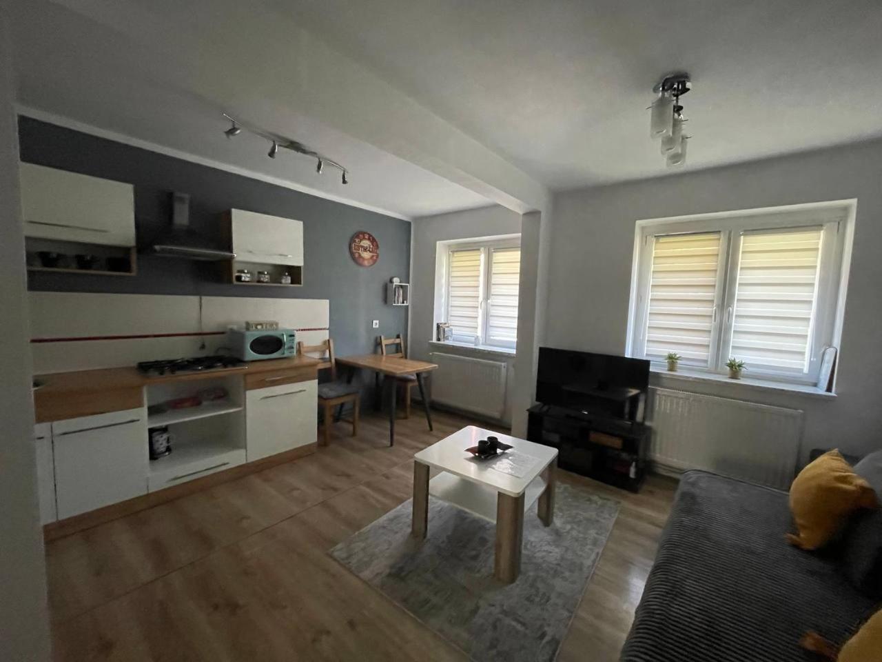 Apartament W Centrum Cichy Zakatek Gliwice Kültér fotó